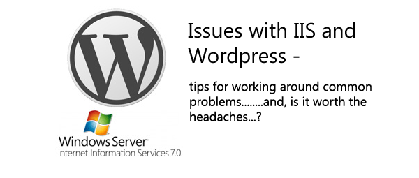 Issues with WordPress on IIS (6 and 7)